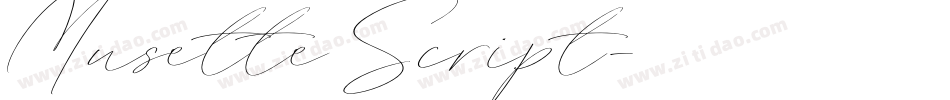 Musette Script字体转换